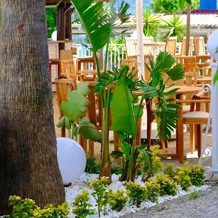 Hawaii Otel 4*